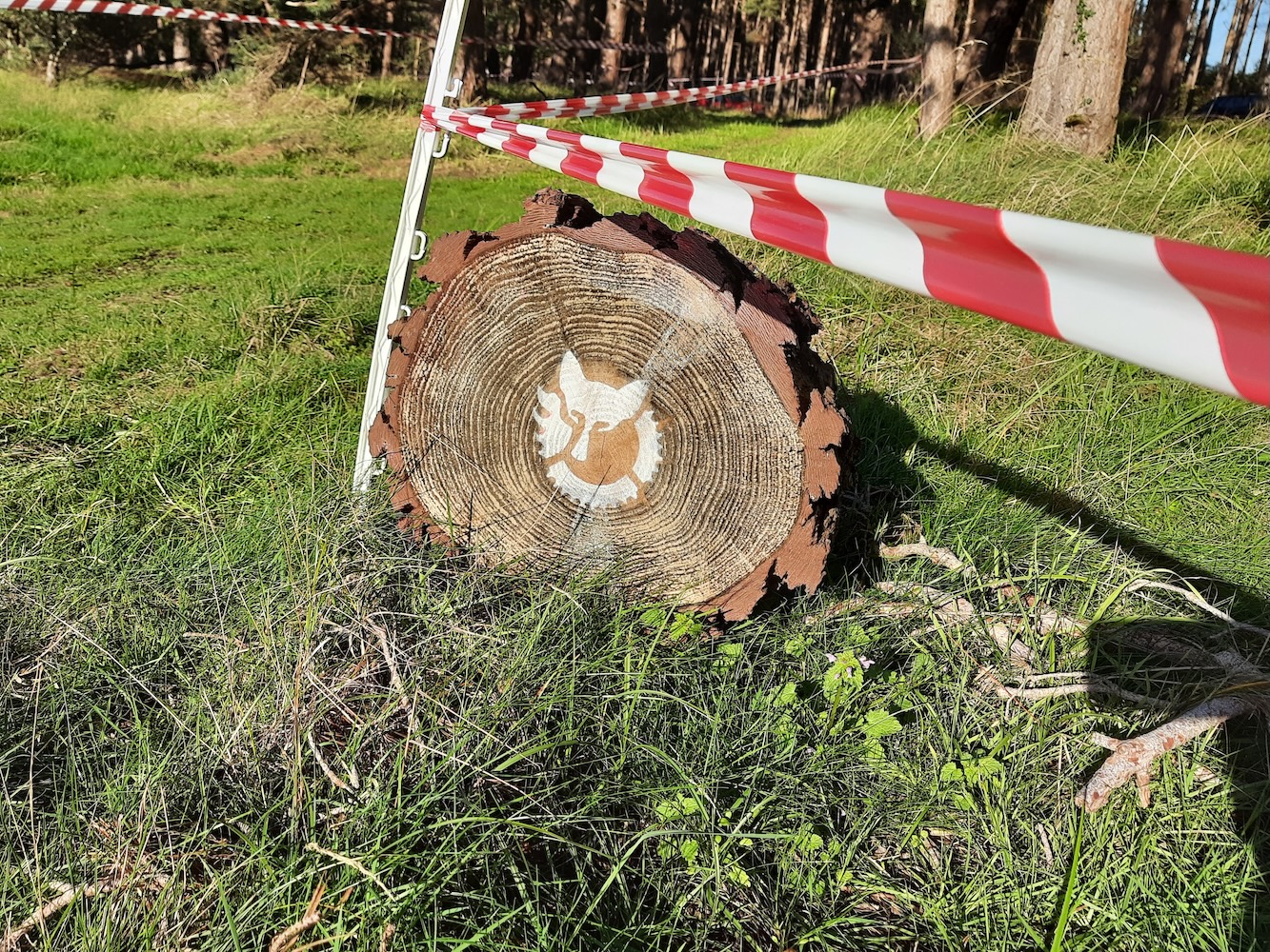 A log on the West Stow WULF course